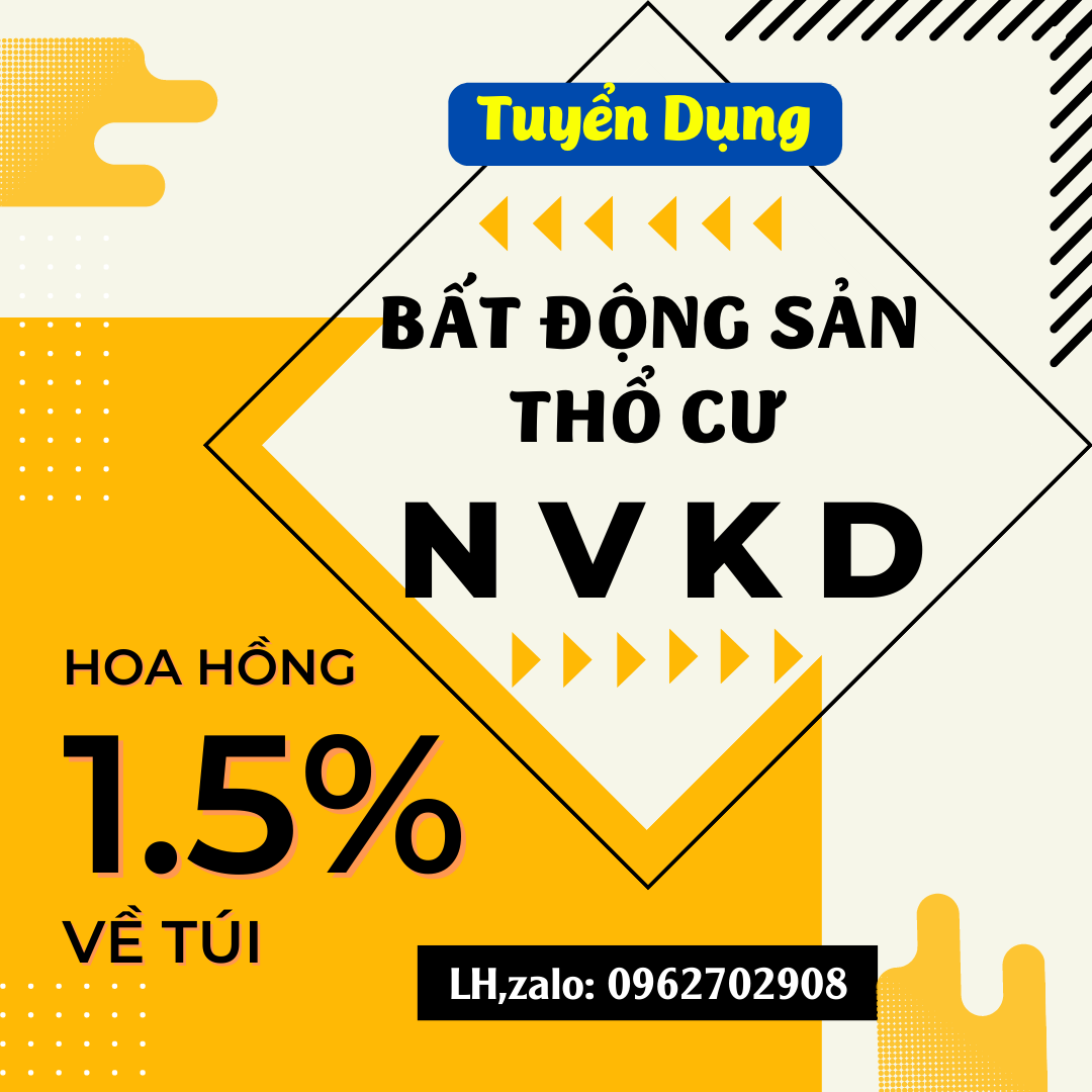 lĩnh vực hoạt động